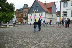 Bluemteppich auf dem Naumburegr Marktplatz (Foto: Karl-Franz Thiede)